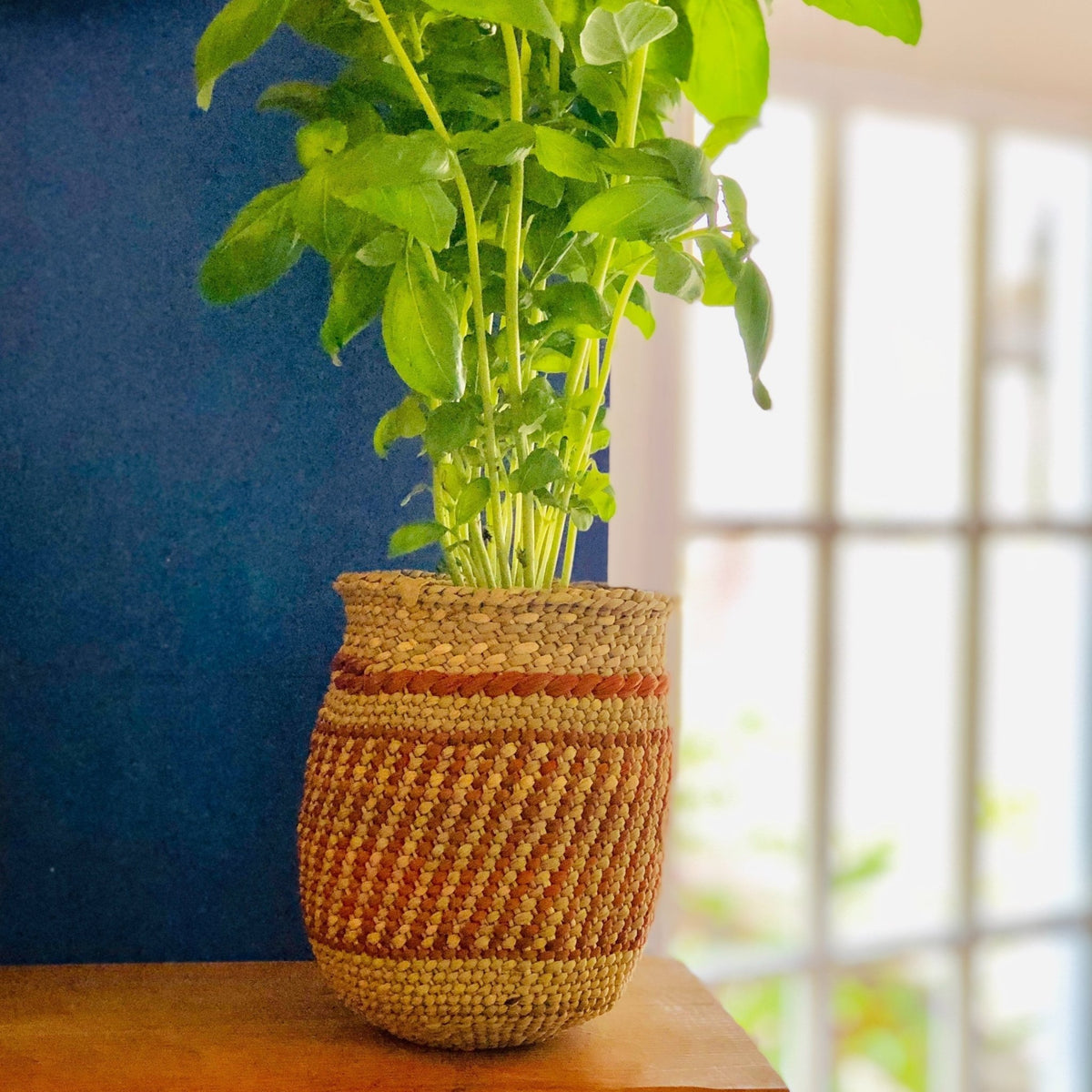 Auburn Stripe Iringa Baskets - Veranda & Vessel Home Living