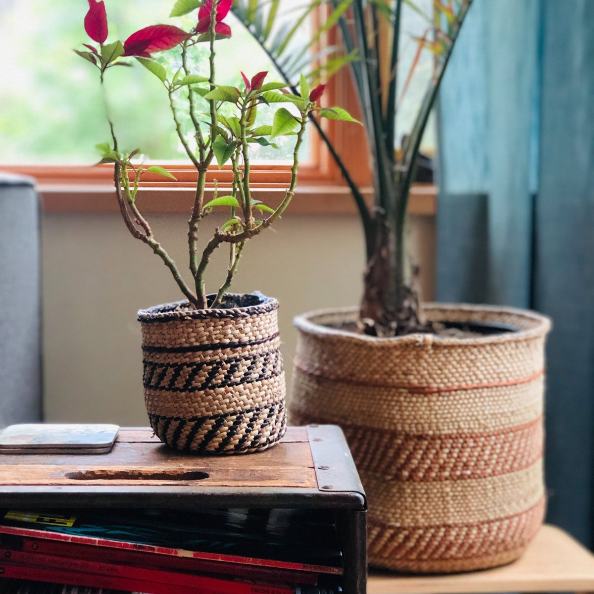 Auburn Stripe Iringa Baskets - Veranda & Vessel Home Living
