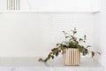Lipstick Black Pagoda Plant + Basket - Veranda & Vessel Home Living
