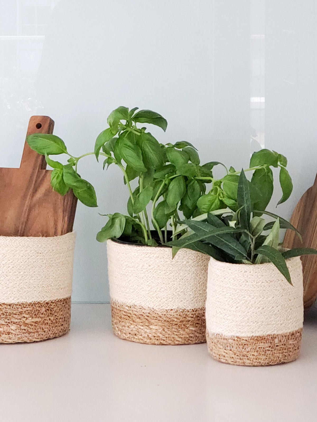 Savar Bin - Veranda & Vessel Home Living