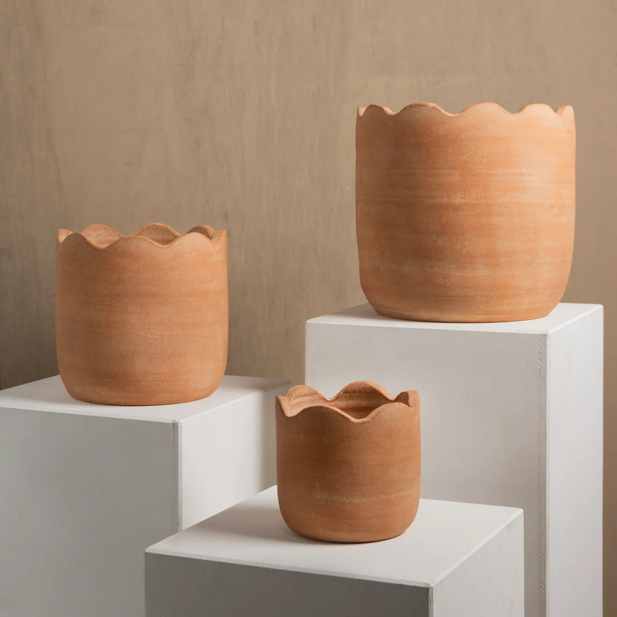 Wavy Planter - Small - Veranda & Vessel Home Living